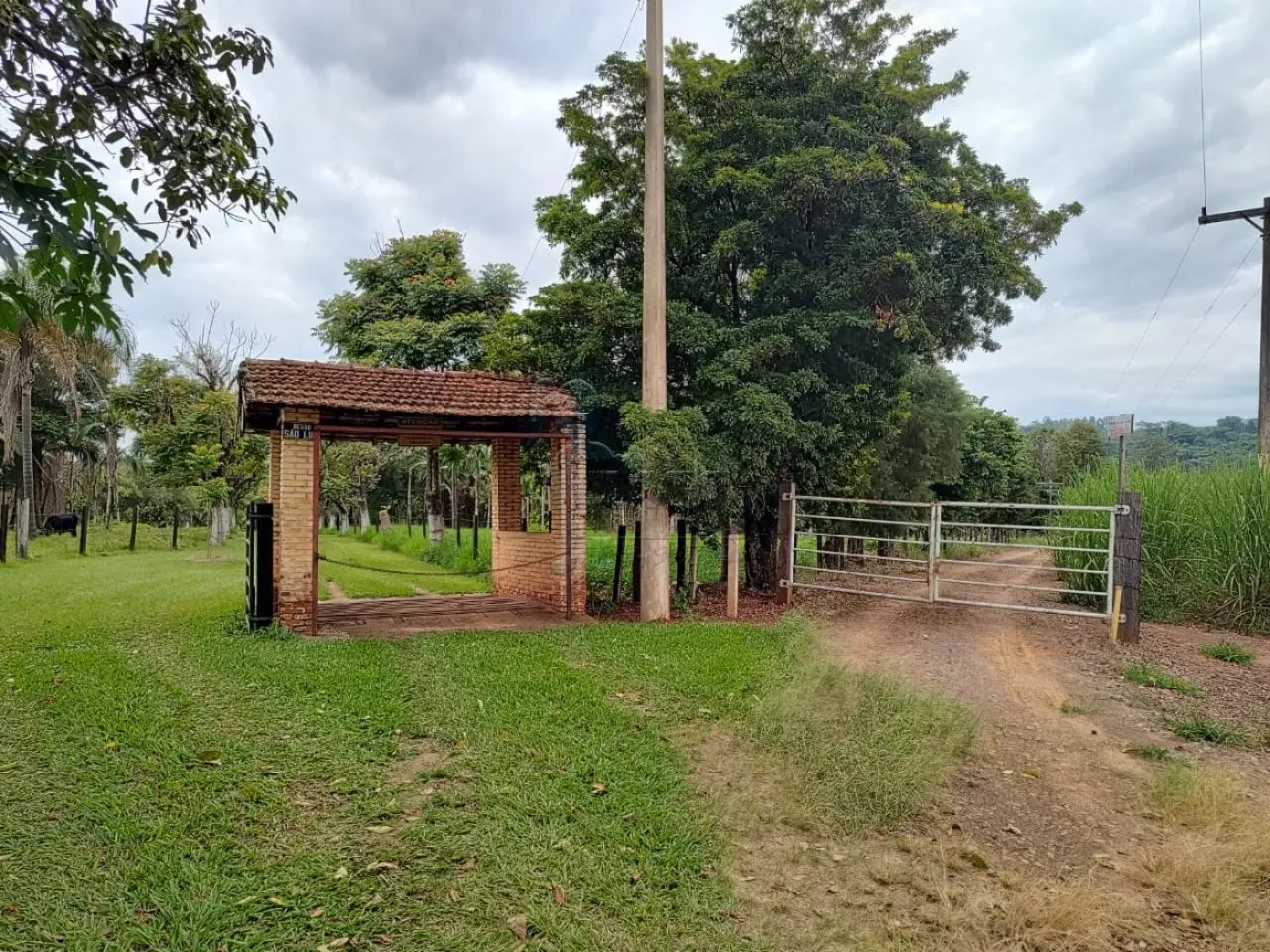 EXCELENTE SÍTIO EM SANTA RITA PASSA QUATRO - Foto 3