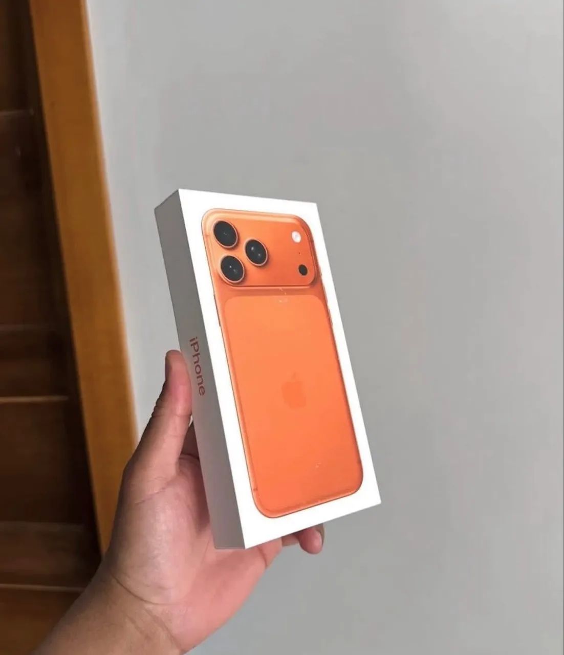17 Pro Max 256GB