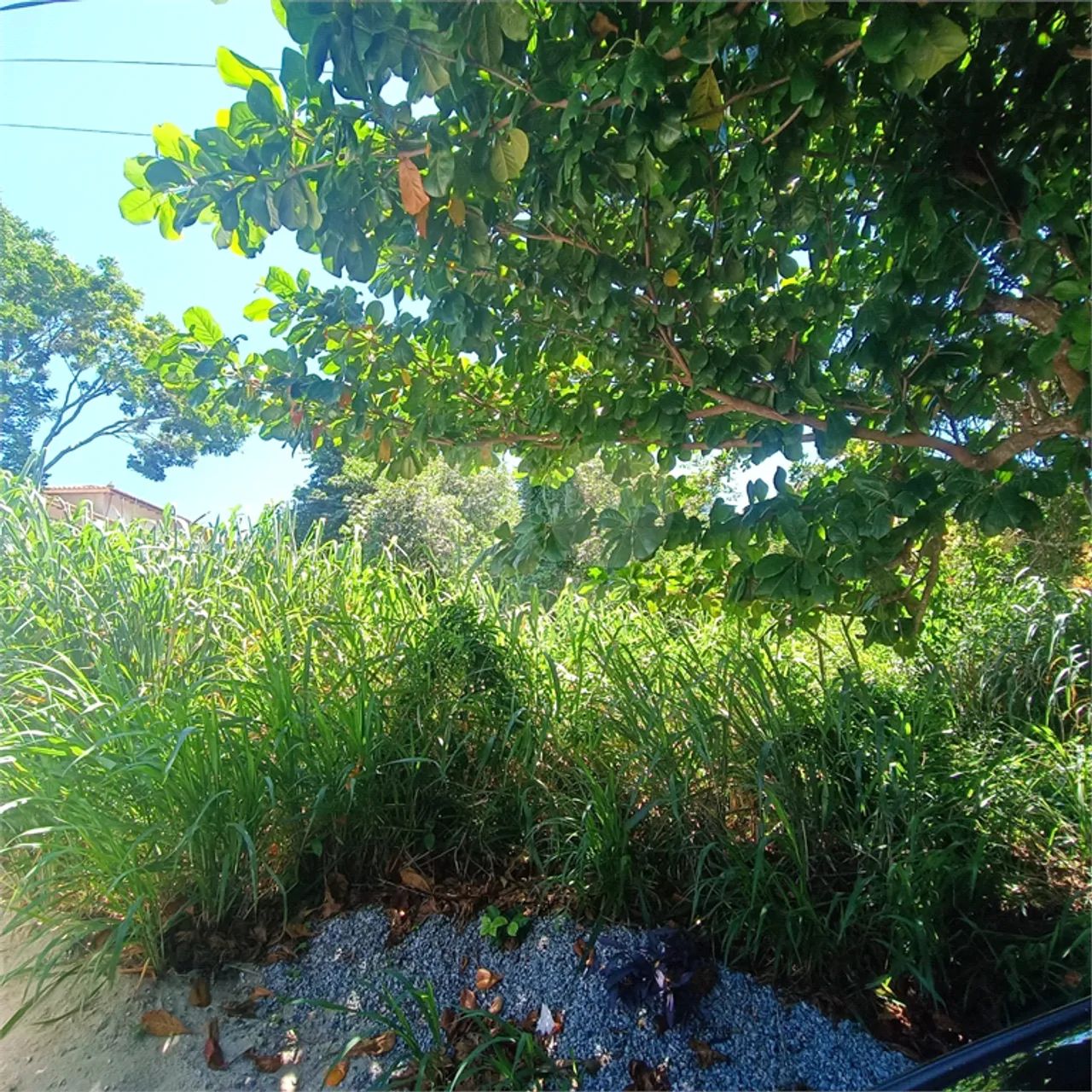 Terreno à venda em Caravelas - RJ - Foto 5