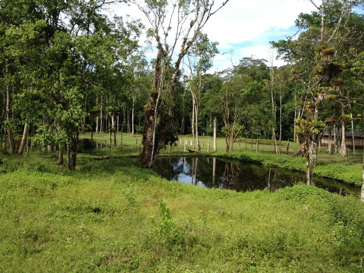 SITIO 8 ALQUEIRES COM LINDA CACHOEIRA - Foto 5