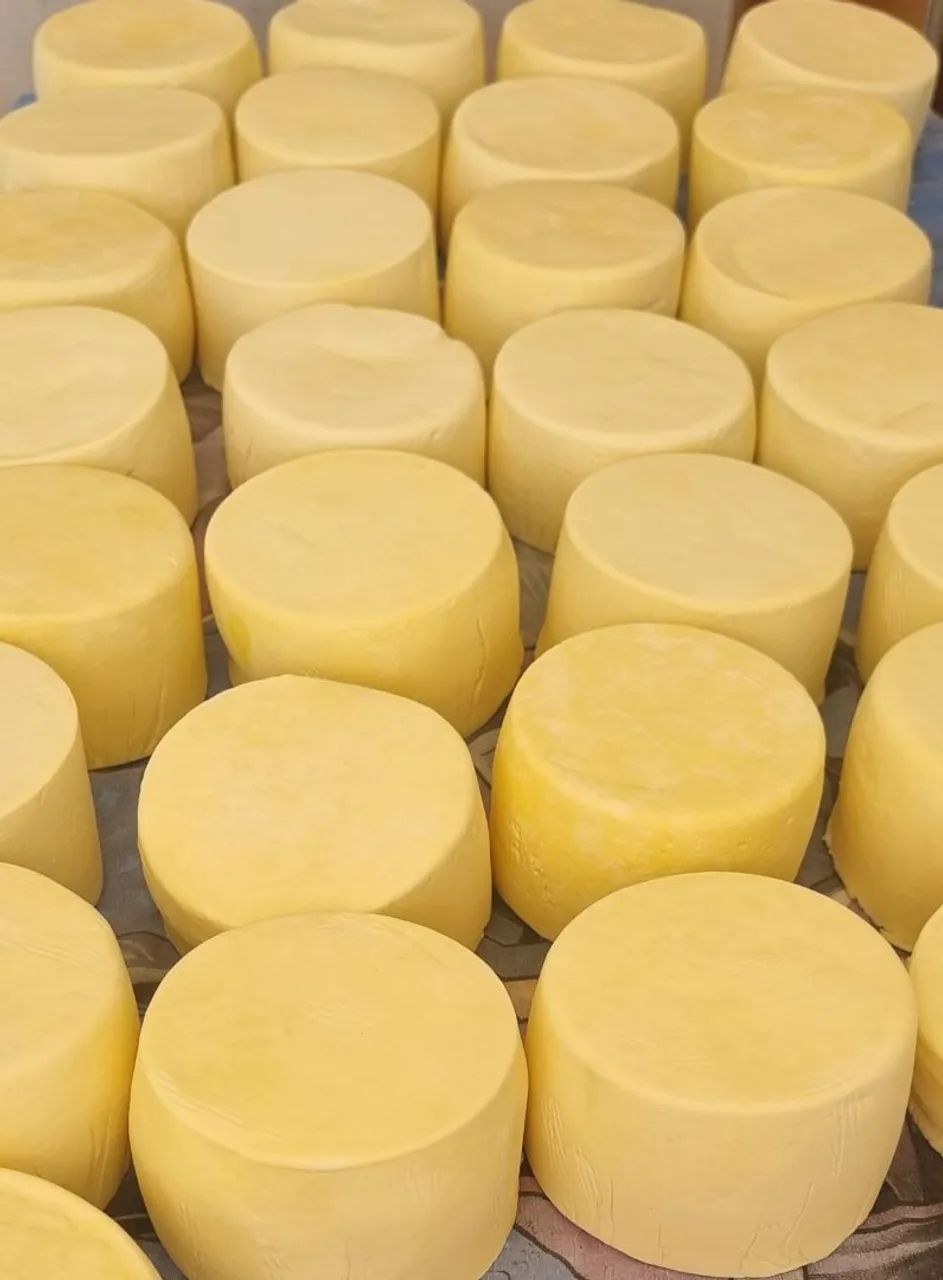 Queijo curado ( Só no Atacado )