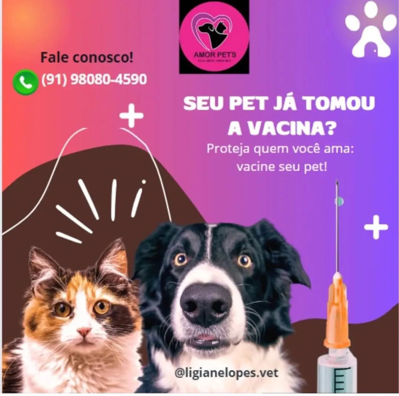 Consulta veterinária domiciliar! - Foto 2