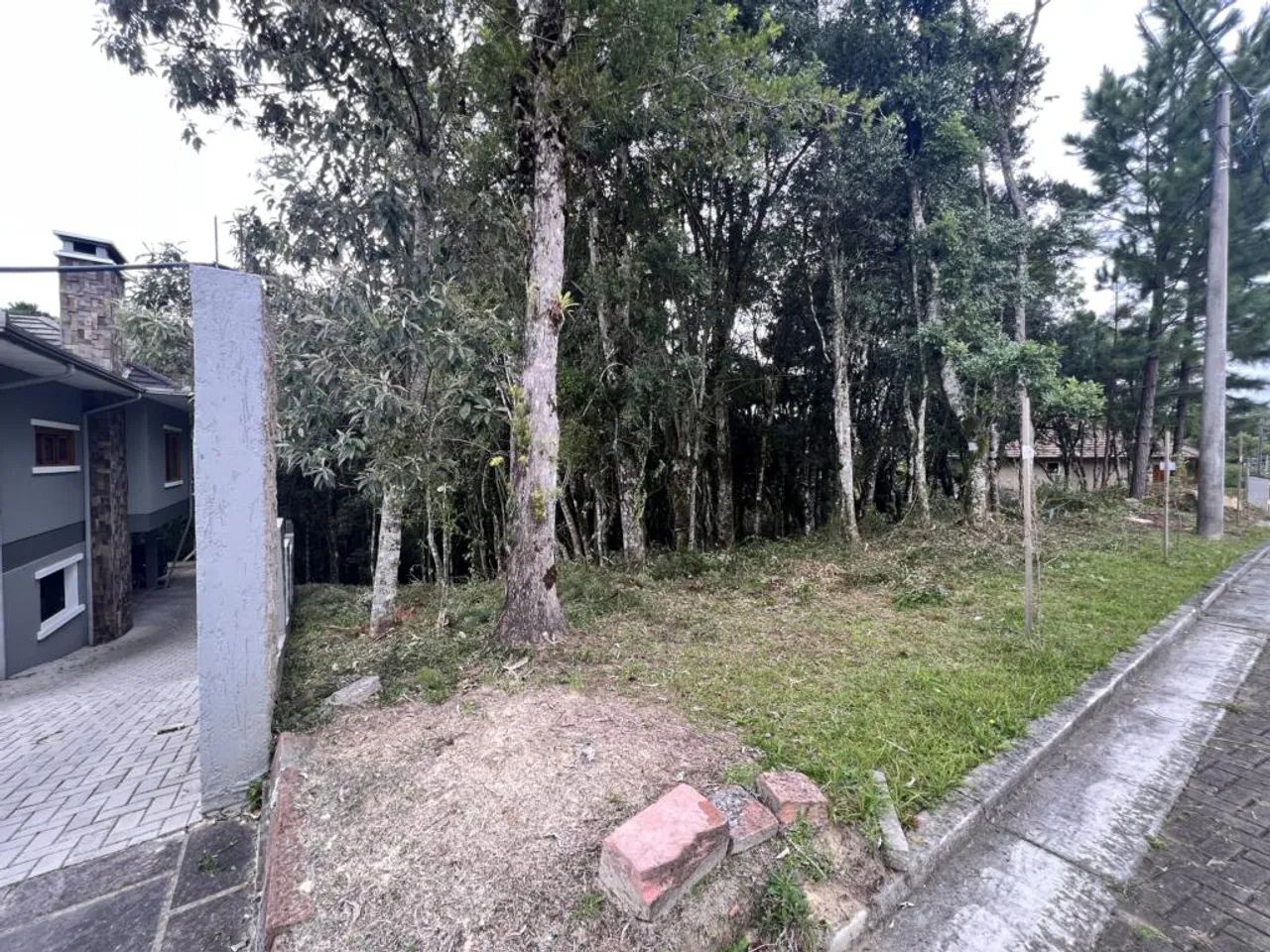 Terreno - Bairro Carniel - Foto 2