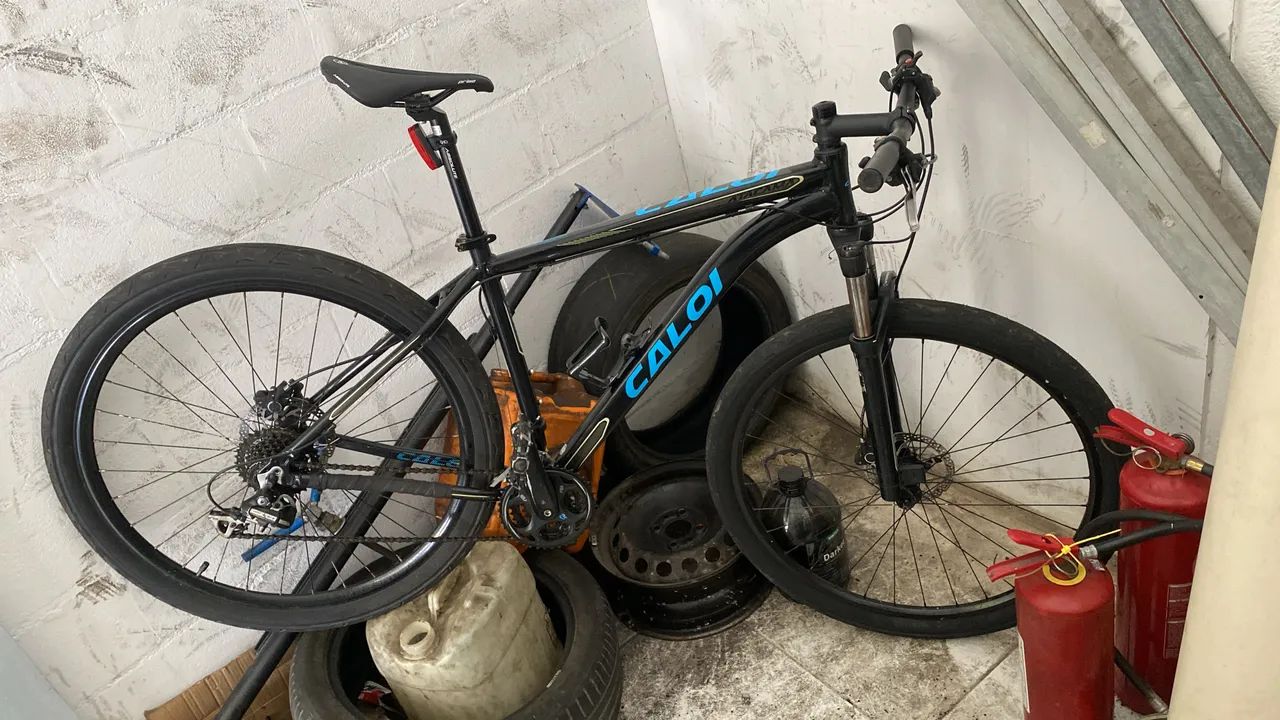 CALOI ATACAMA ARO 29
