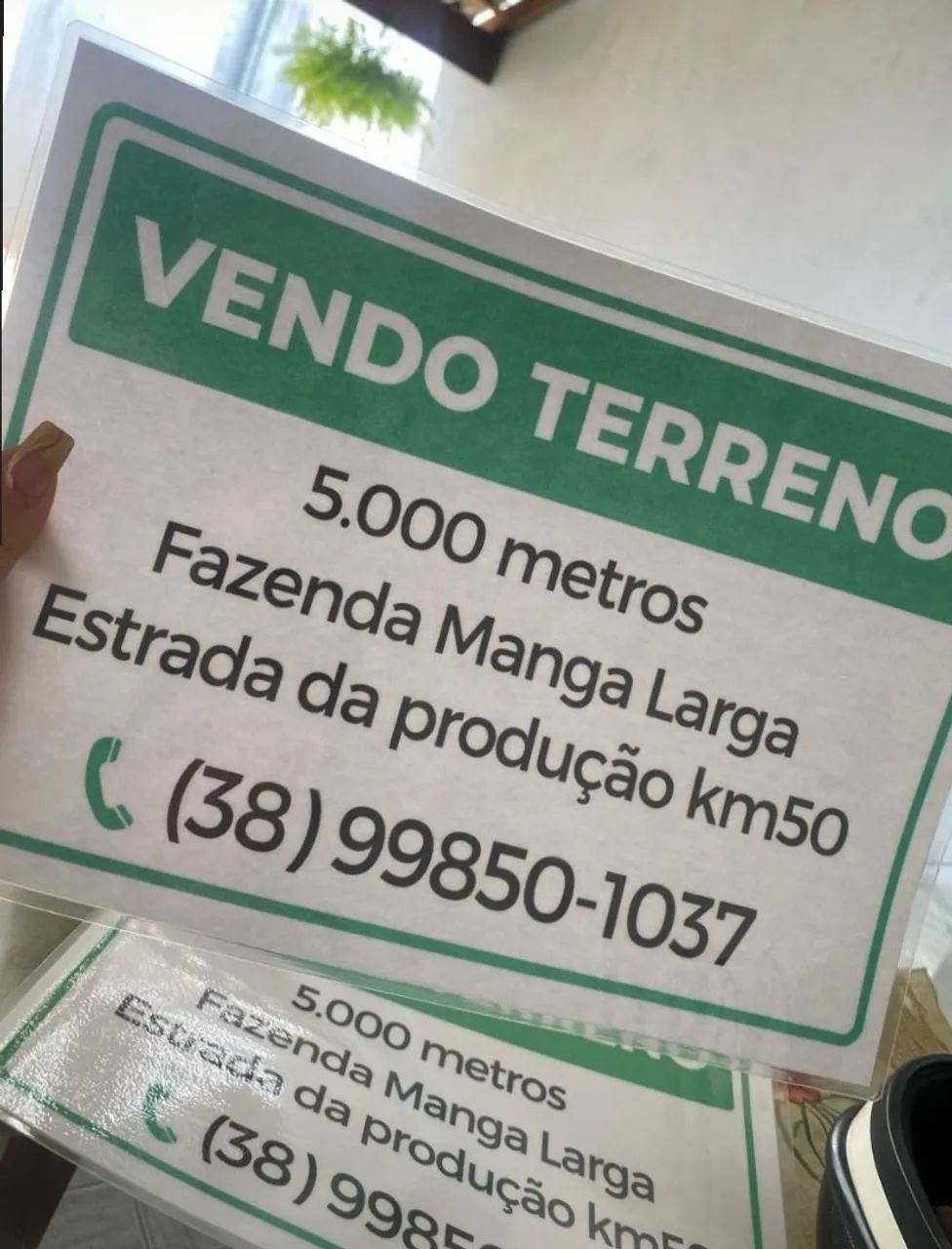 Vendo 