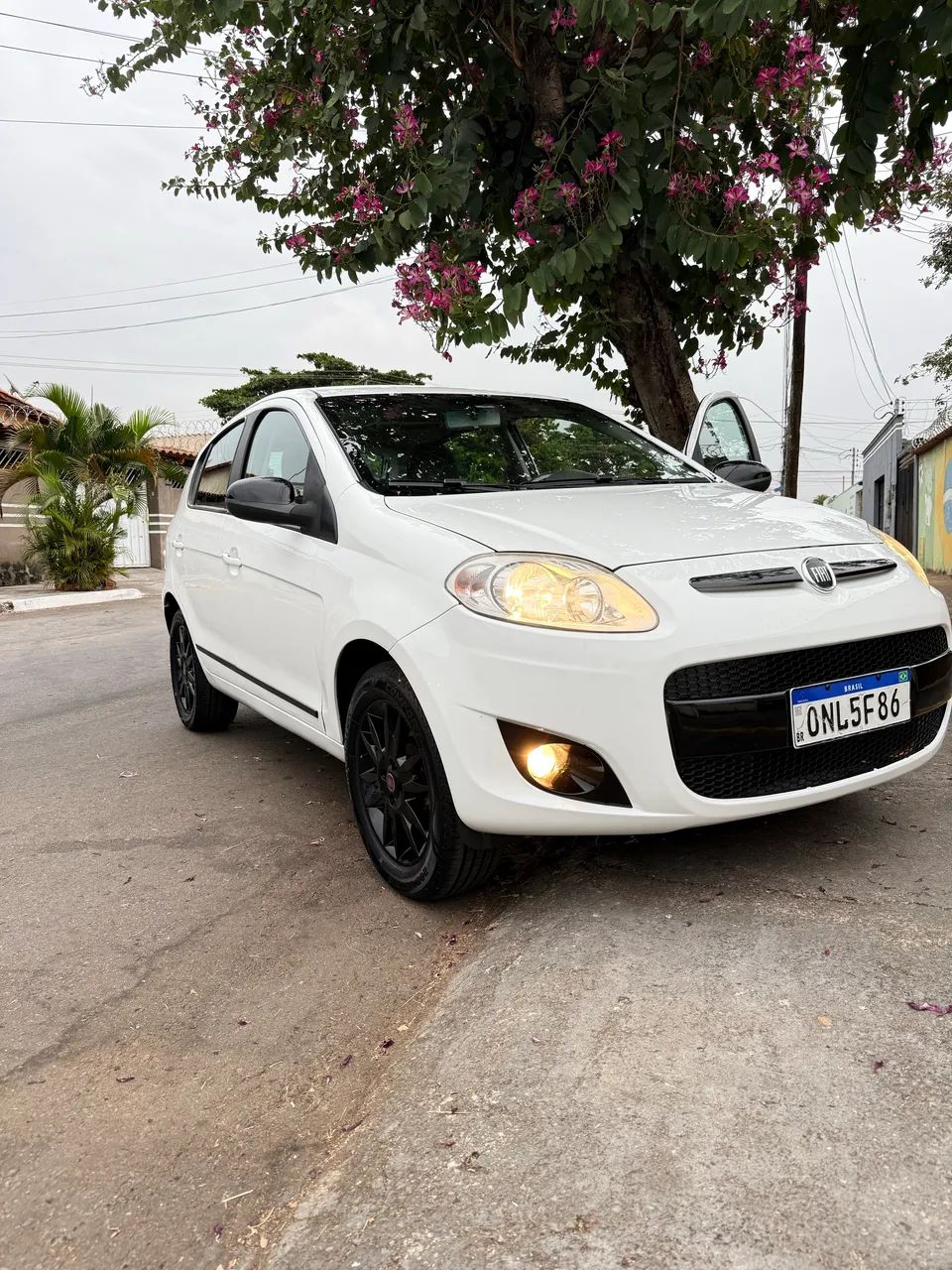 Fiat Palio Attra./italia 1.4 EVO F.flex 8V 5P 2014 - Foto 10