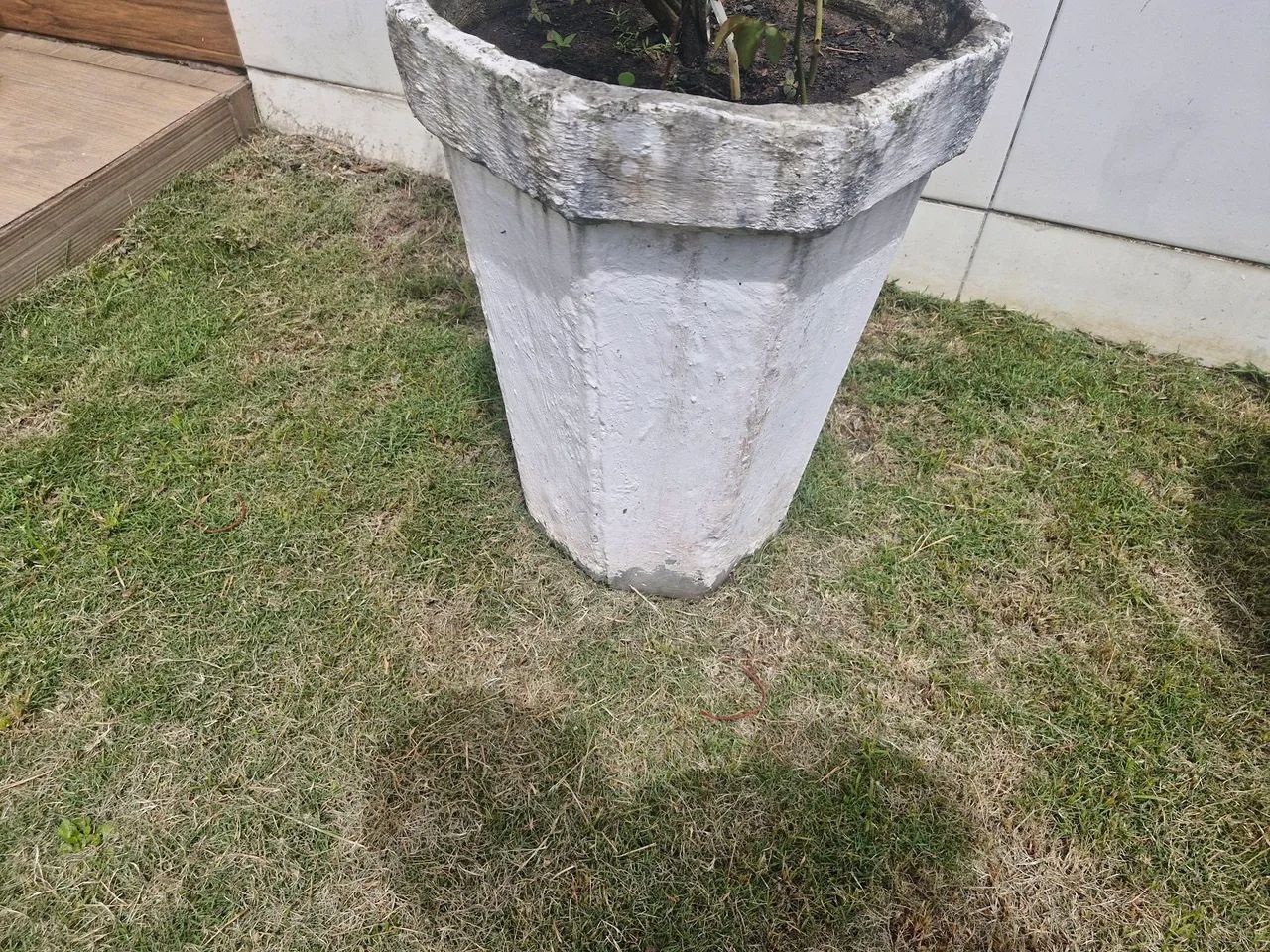 Jaros de plantas
