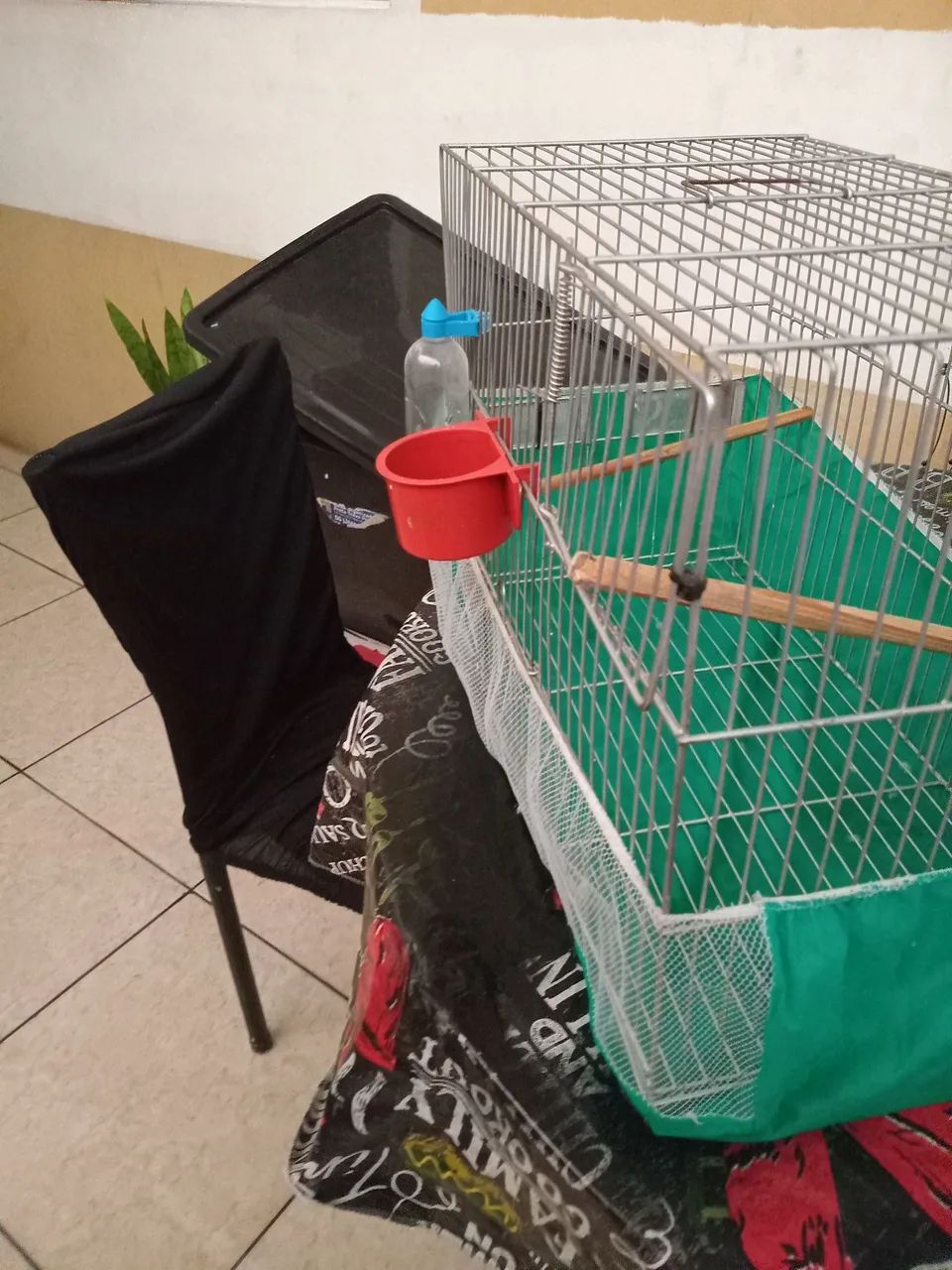 Gaiola Média (para aves pequenas) - Foto 5