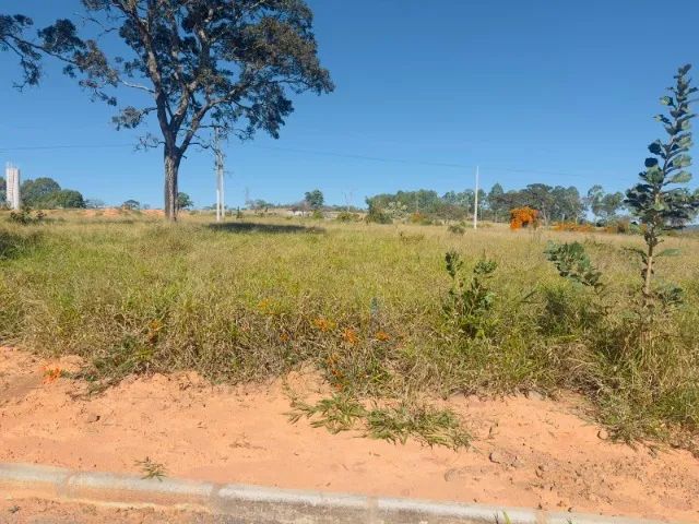 Lote - Foto 2