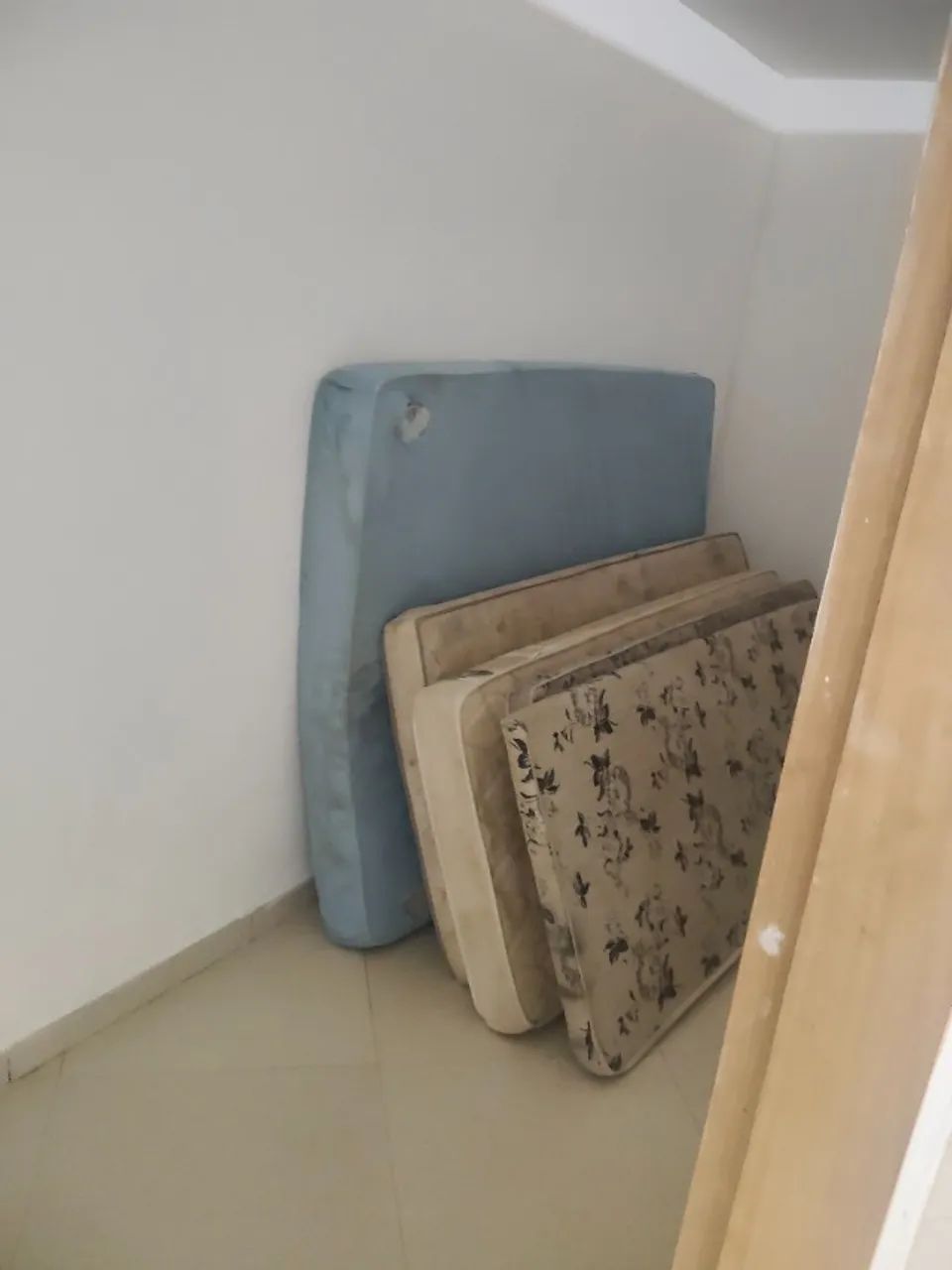 Chácara  - Foto 3