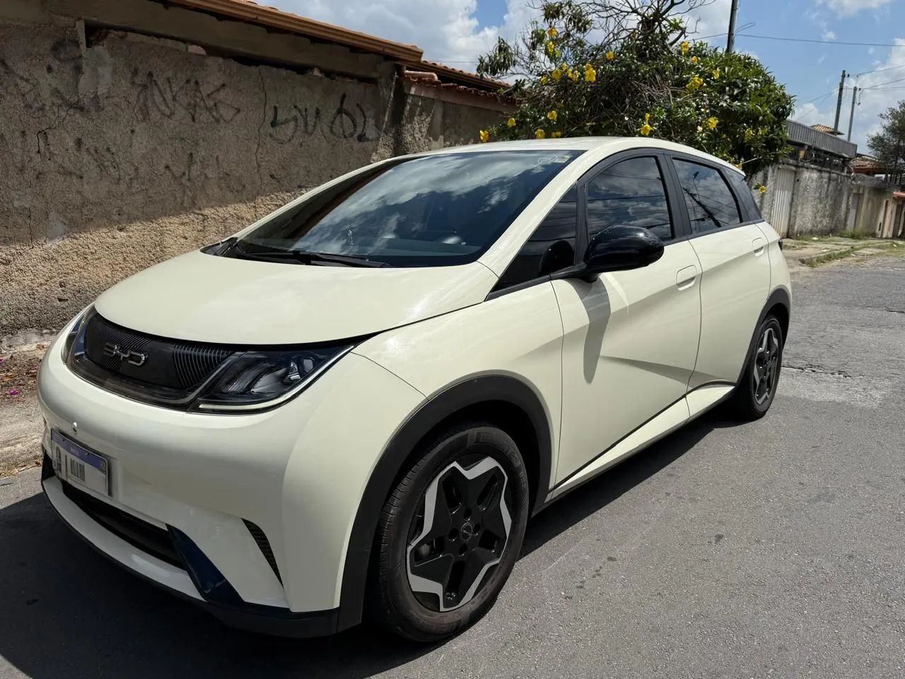 BYD Dolphin EV (Elétrico) 2024