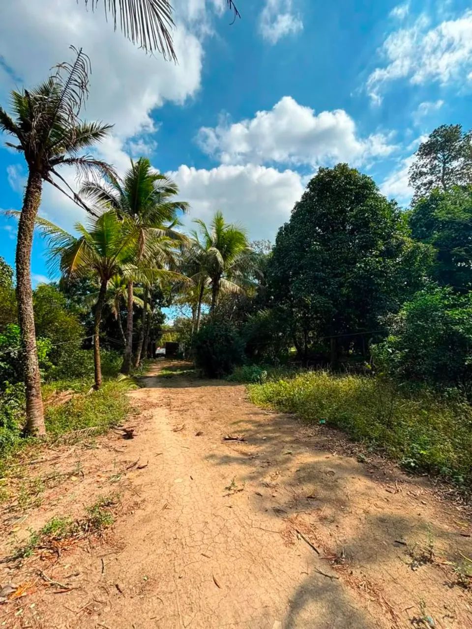 OPORTUNIDADE ? SITIO COM DOCUMENTAÇÃO! - Foto 2