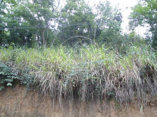 Loteamento/condomínio à venda em Maria paula, São gonçalo cod:726944 - Foto 9