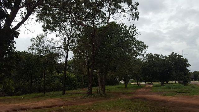 Lotes de 975 m² total de 2.925 m² na Av. Teôtonio, 802 Sul - Ao - Foto 3