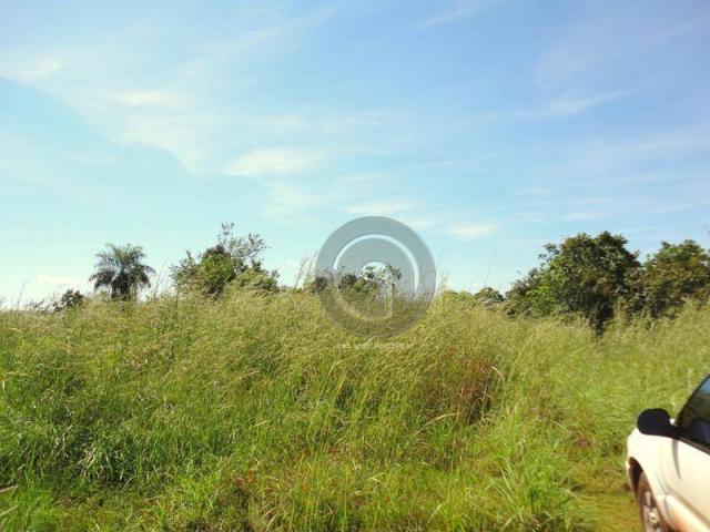 Fazenda 100 ha em acorizal - Foto 5