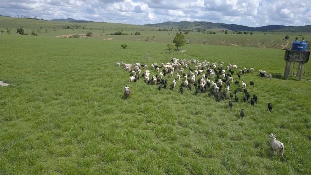 Fazenda em Itamaraju. 5 mil hectares - Foto 6