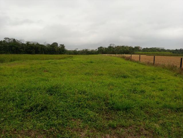 Alugo propriedade rural em pirabeiraba - Foto 2