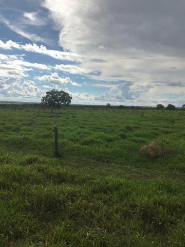 Fazenda 354 hectares, Município de Livramento/MT - Foto 11