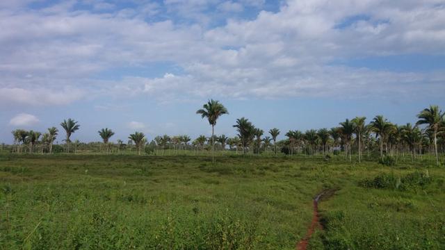 Fazenda na BR 135 - Foto 7