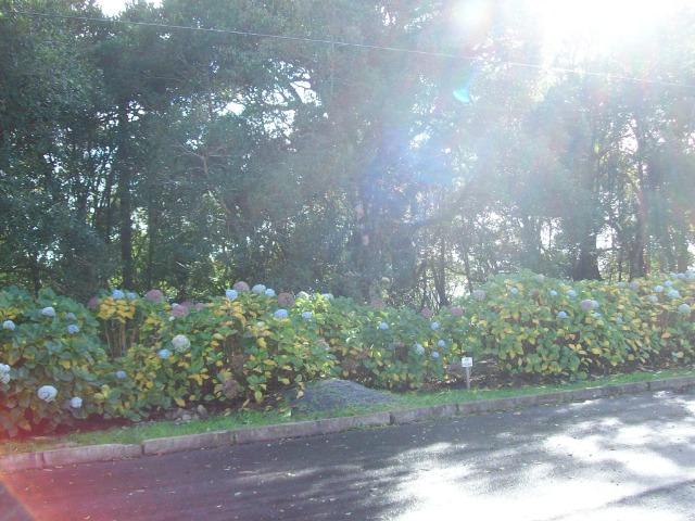 Terreno com 1.593,00m² em Condomínio!