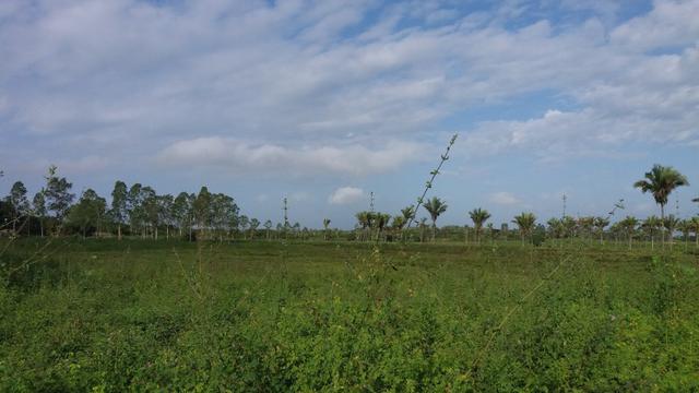 Fazenda na BR 135 - Foto 9
