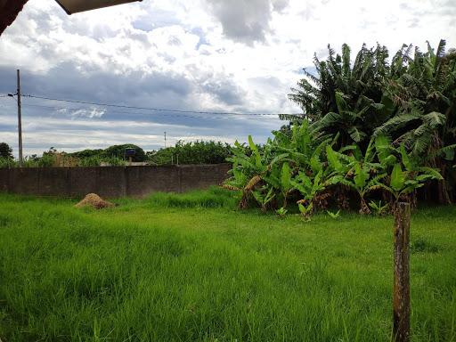Chácara à venda, 5000 m² por R$ 600.000 - Três Lagoas - Foz do Iguaçu/PR - Foto 5