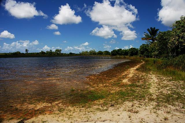 Vendo Área na Lagoa do Urubu - Nísia Floresta - RN - Foto 10