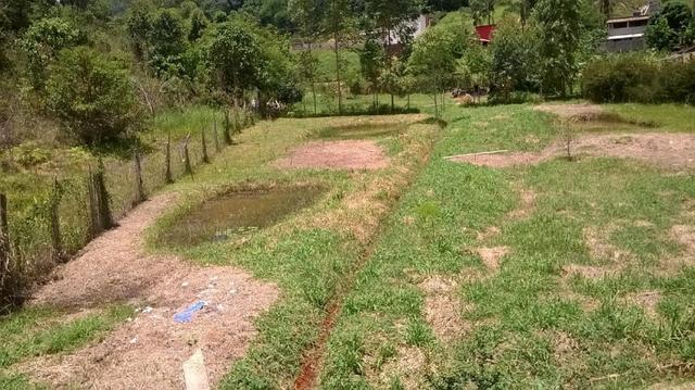 Oportunidade Granja para venda no bairro Filgueiras - Fazendinha do comendador - Foto 17