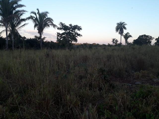Chácara de 38,2 hectares, ha 66 km de Cuiabá, em Acorizal ! - Foto 5