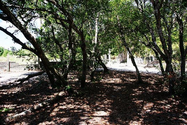 Vendo Área na Lagoa do Urubu - Nísia Floresta - RN - Foto 14