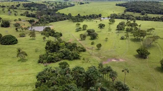 Fazenda 20 alqueires em Piracanjuba