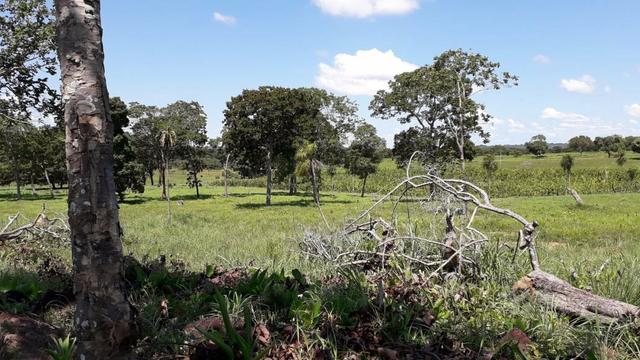 Chácara no município de Cariri do Tocantins - Foto 10
