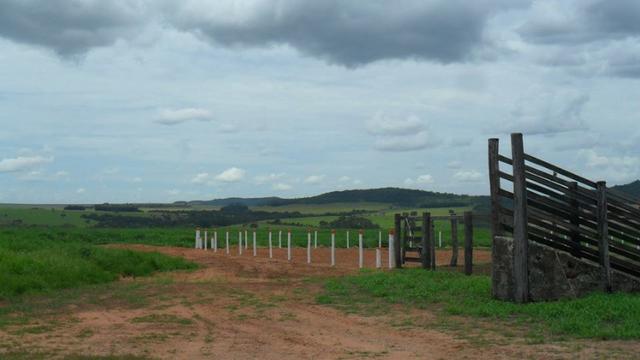 Fazenda de 67 alqueires para lavoura a venda na região de Paraúna GO - Foto 2