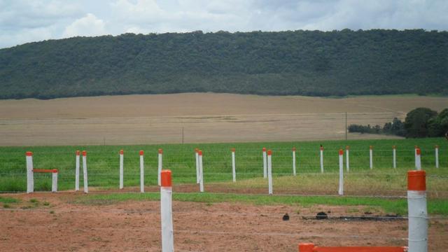 Fazenda de 67 alqueires para lavoura a venda na região de Paraúna GO