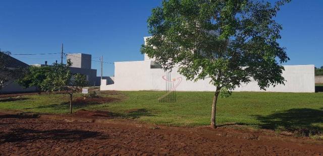 Terreno à venda, 600 m² por R$ 140.000,00 - Cond. Rose Garden - Foz do Iguaçu/PR - Foto 7