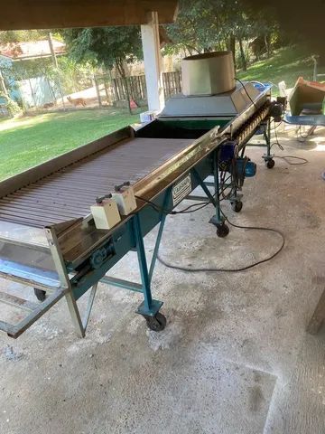 Selecionadora de tomates Cabrini - Foto 3