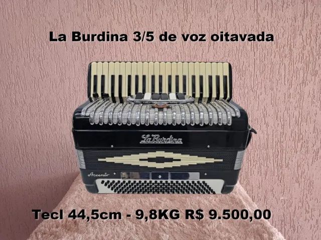 Acordeon La Burdina 3/5 de voz oitavada ntodeschini scandalli