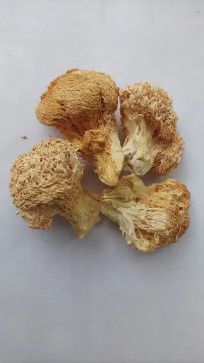 Cogumelo Juba de leão desidratado