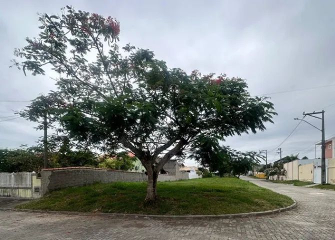 foto - Araruama - Lagoinha