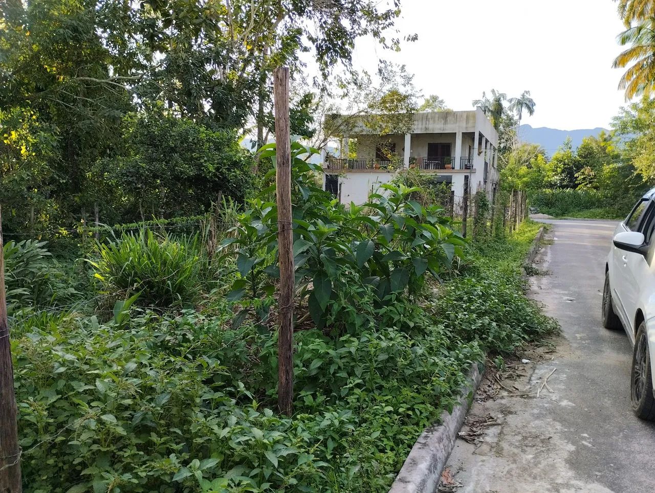 foto - Angra dos Reis - Parque Mambucaba (Mambucaba)