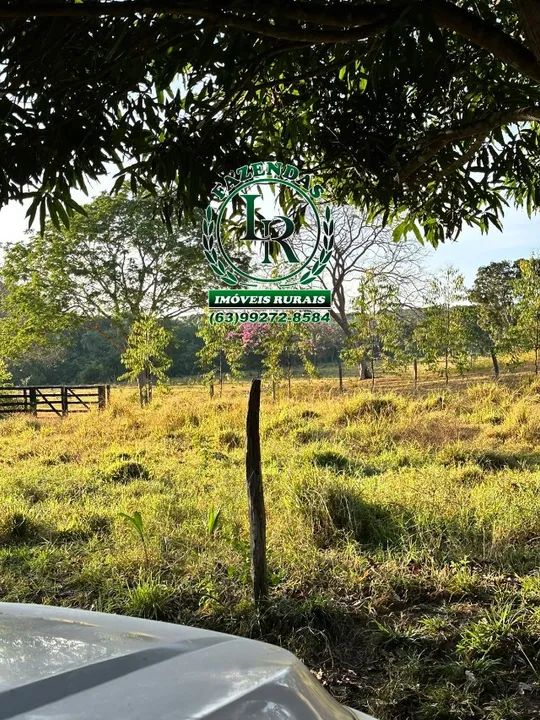 Fazenda 69  Alqueires  Dupla Aptidão - Foto 4