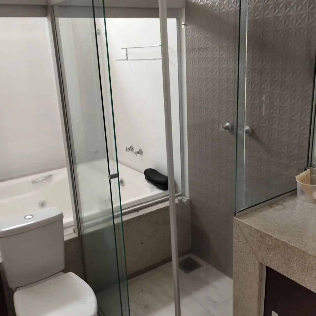 Foto - Formiga - Santa Tereza