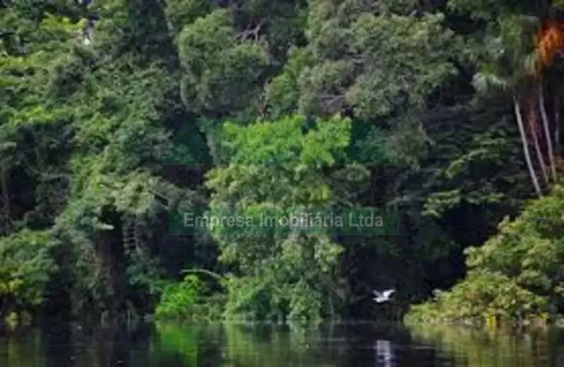 TERRENO PARA VENDA - Foto 3