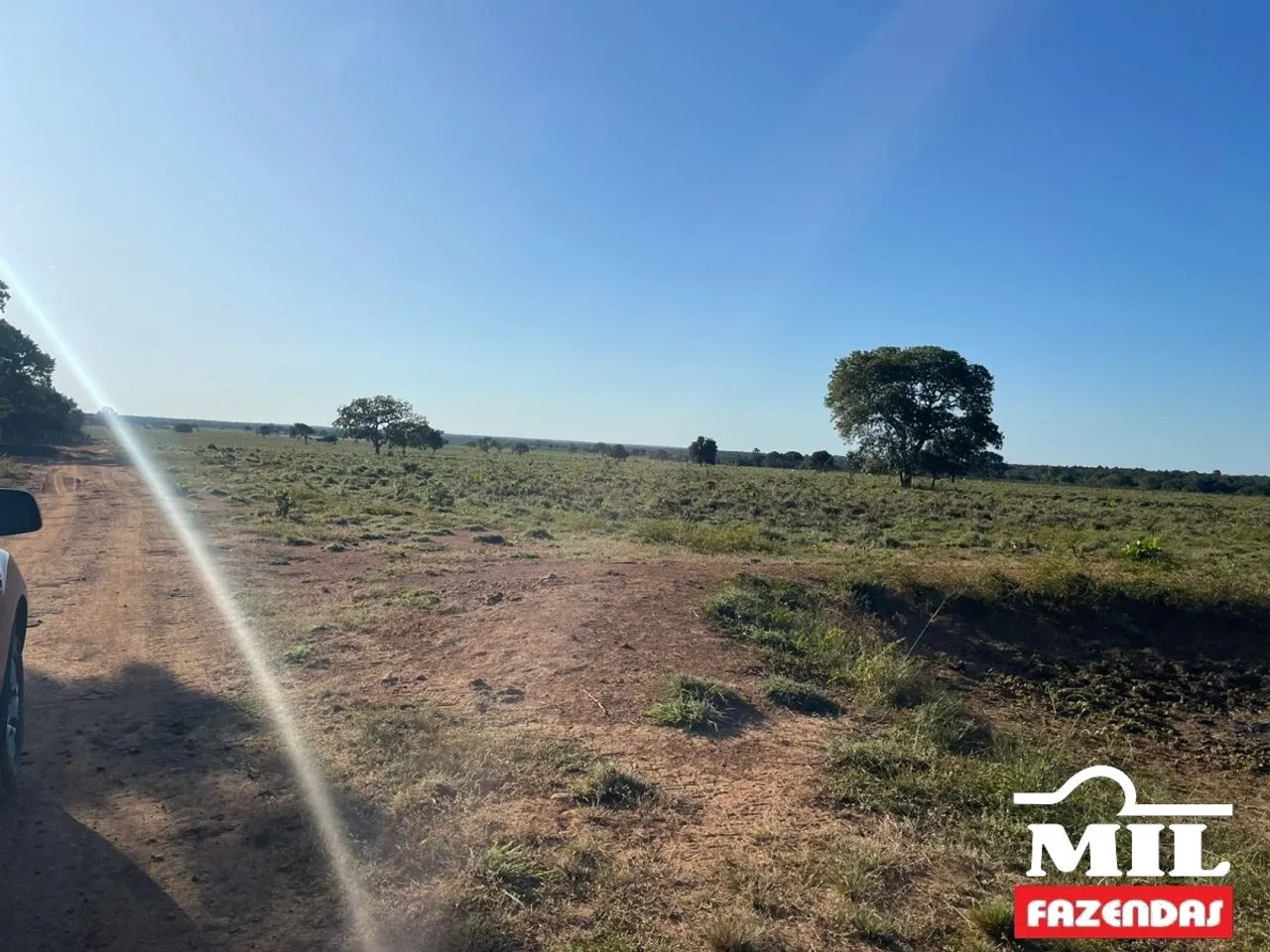 Fazenda em Talismã-TO. . 55 Alq. (266 Há). Boa p/ Soja - Foto 2