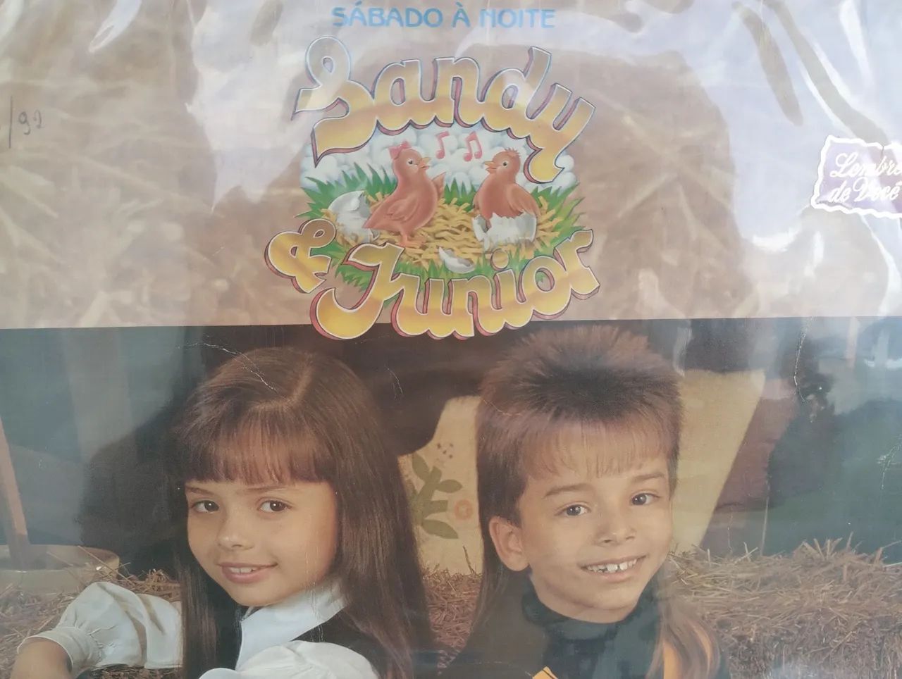 SANDY E JUNIOR DISCO VINIL  - Foto 2