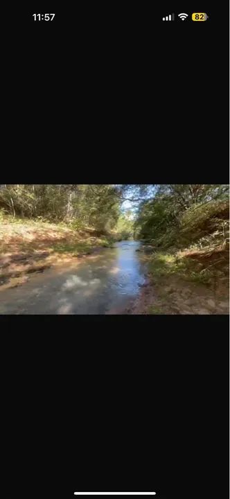 Fazenda pra investir Ituiutaba  - Foto 4