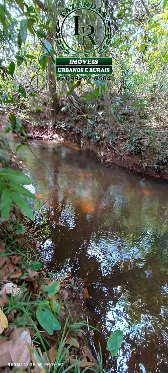 Chácara 5 alqueires com casa  Beira Rio Balsas - Foto 4