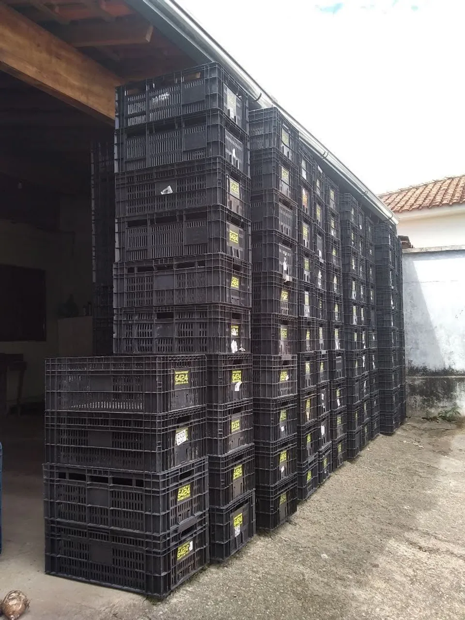 Caixas Plásticas para Transporte e Armazenamento - Venda em Lote
