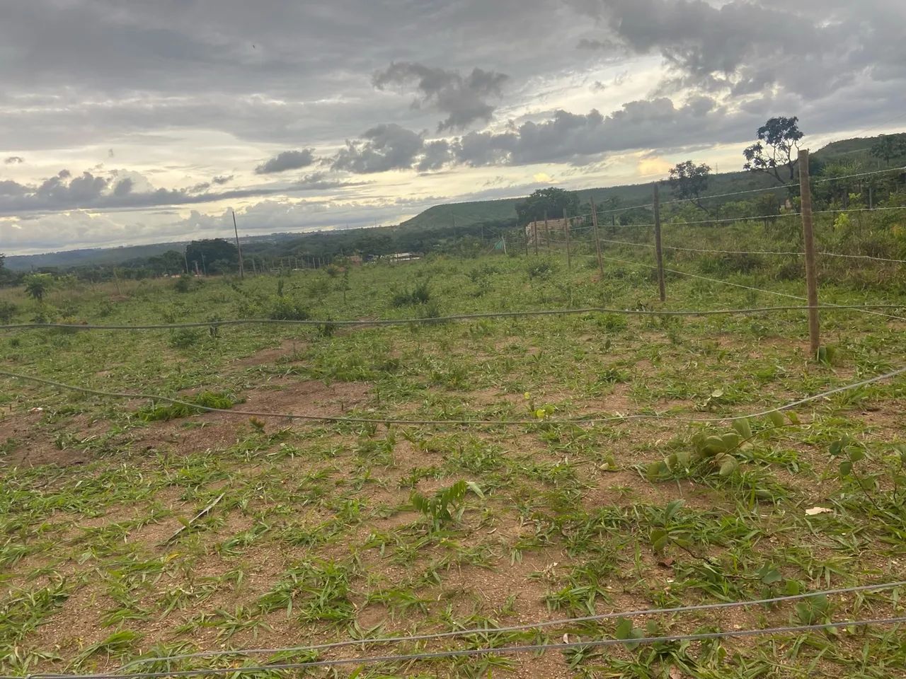 Lote de chácara setor sabiá ( alvorada )  - Foto 4