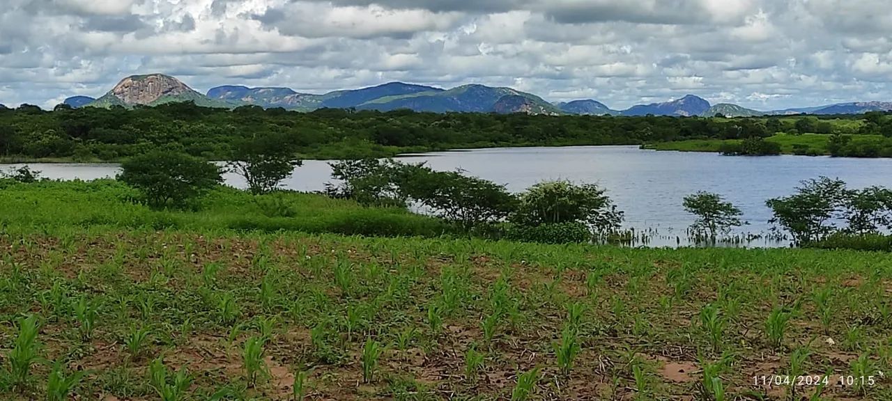 FAZENDA PARAISO QUIXADÁ - Foto 3